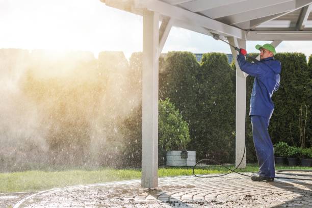 Best Spring Cleaning  in Dawsonville, GA
