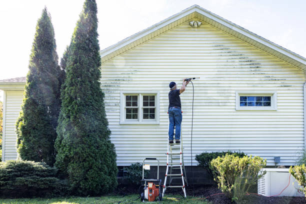 Best Gutter Cleaning  in Dawsonville, GA